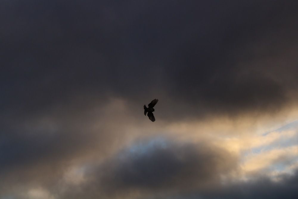 Photograph by Манца Нимгирова