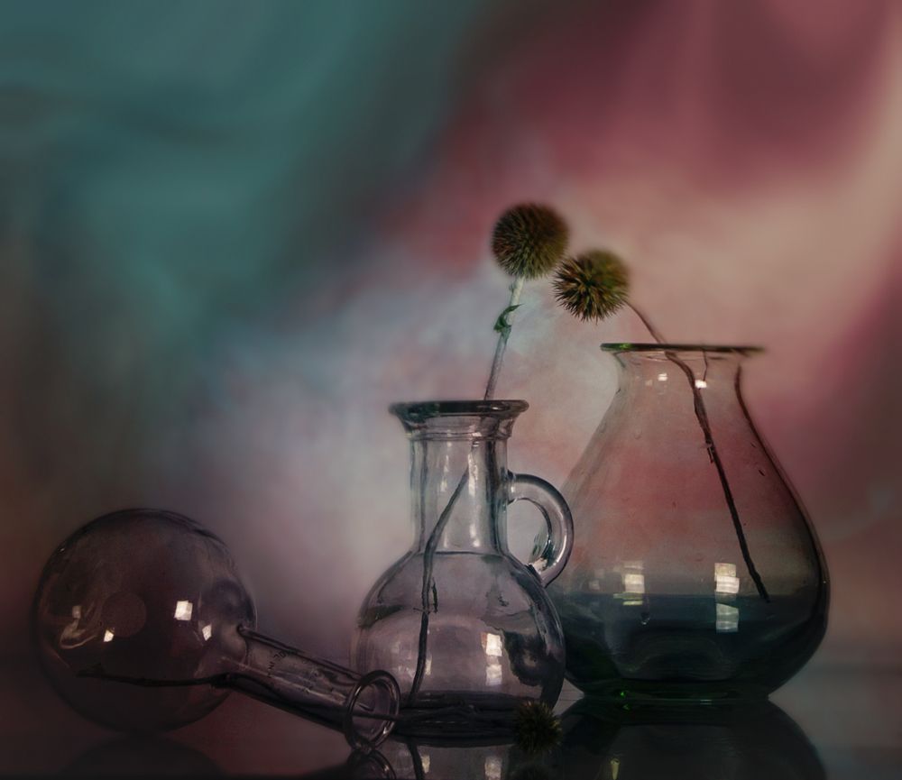 Photograph by Liudmila Drake