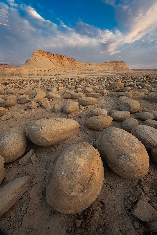 Photograph by Amos Ravid