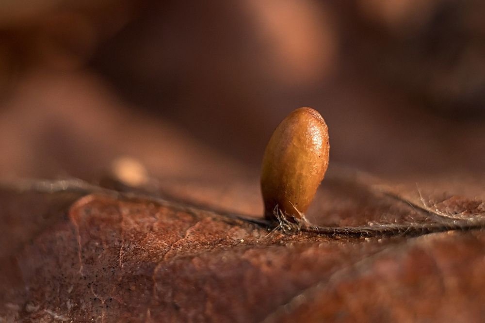 Photograph by Станислава Войцеховская