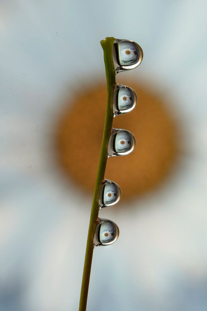 Photograph by Dragan Cerovic