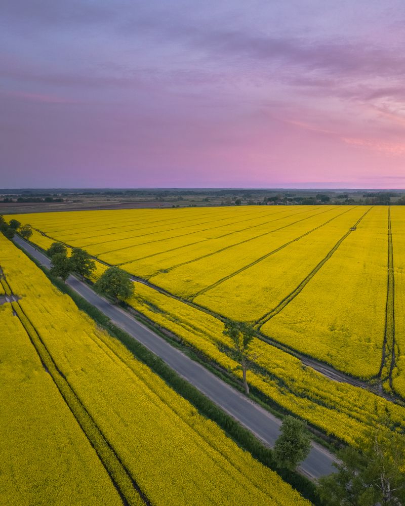 Photograph by Максим Мальцев