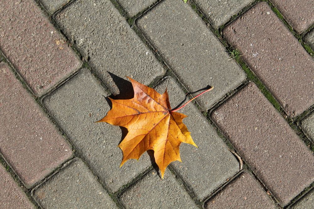 Photograph by Иван