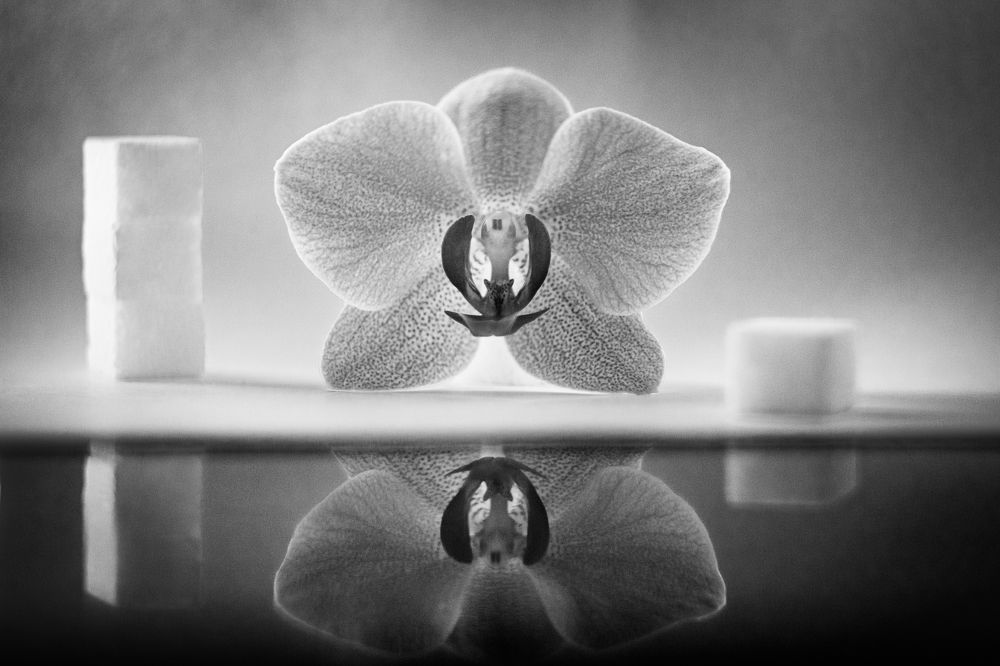 Photograph by Татьяна Куликова