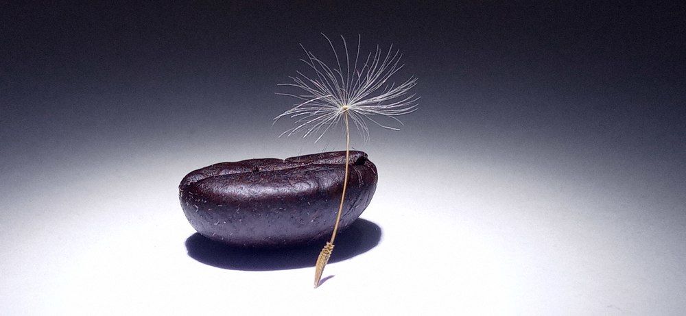 Фотография автора hakan