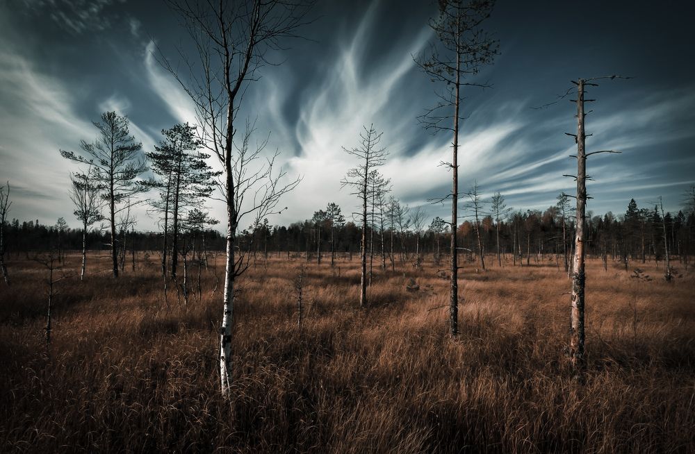 Photograph by Андрей Куликов