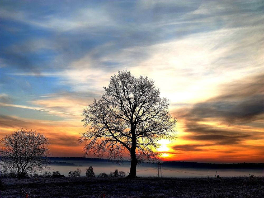 Photograph by Инна Макарчук