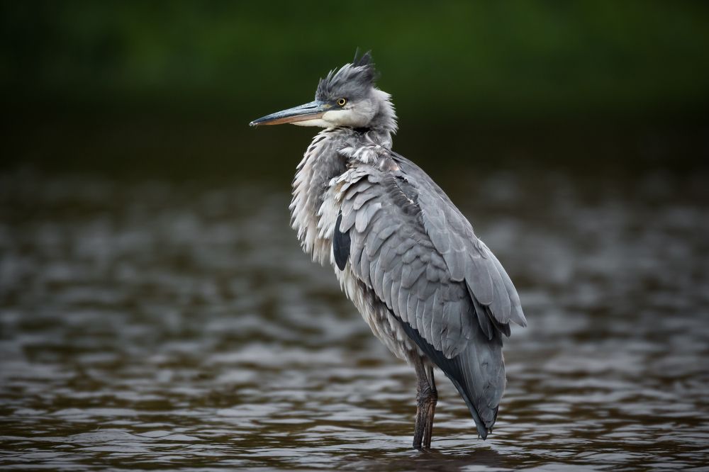 Photograph by Ксения Соварцева