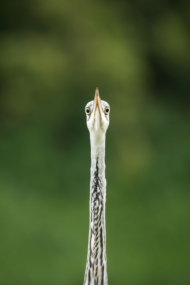 Photograph by Ксения Соварцева