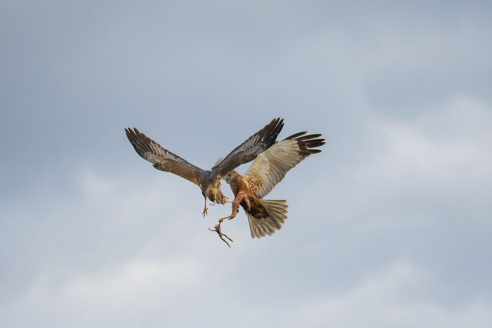 Photograph by Ксения Соварцева