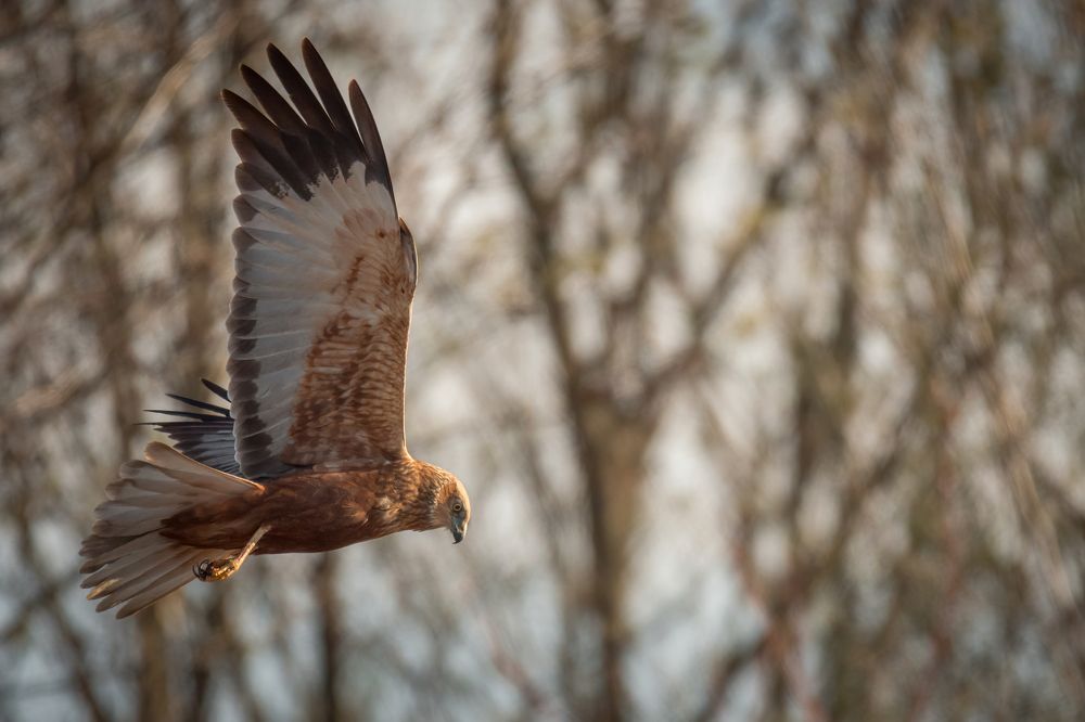 Photograph by Ксения Соварцева