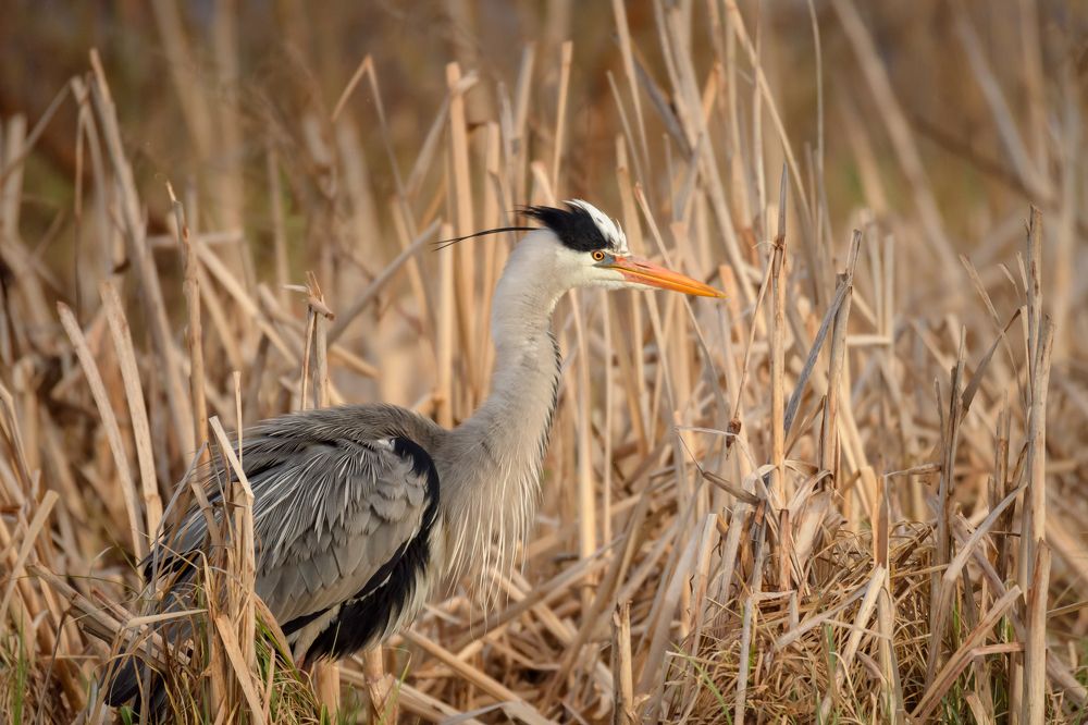 Photograph by Ксения Соварцева