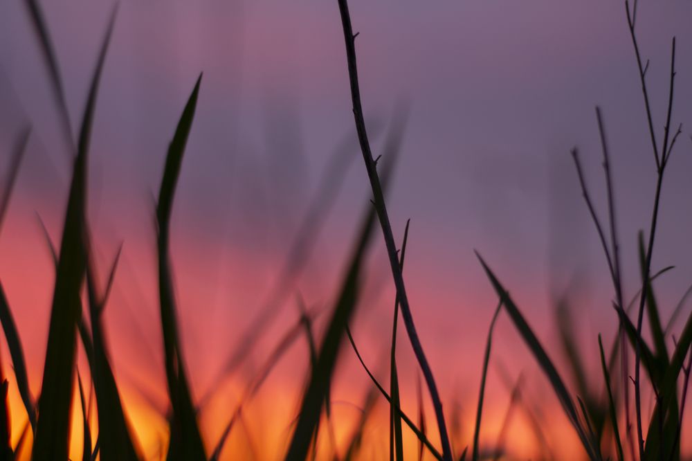 Photograph by Дарья Ващенко-Панкина