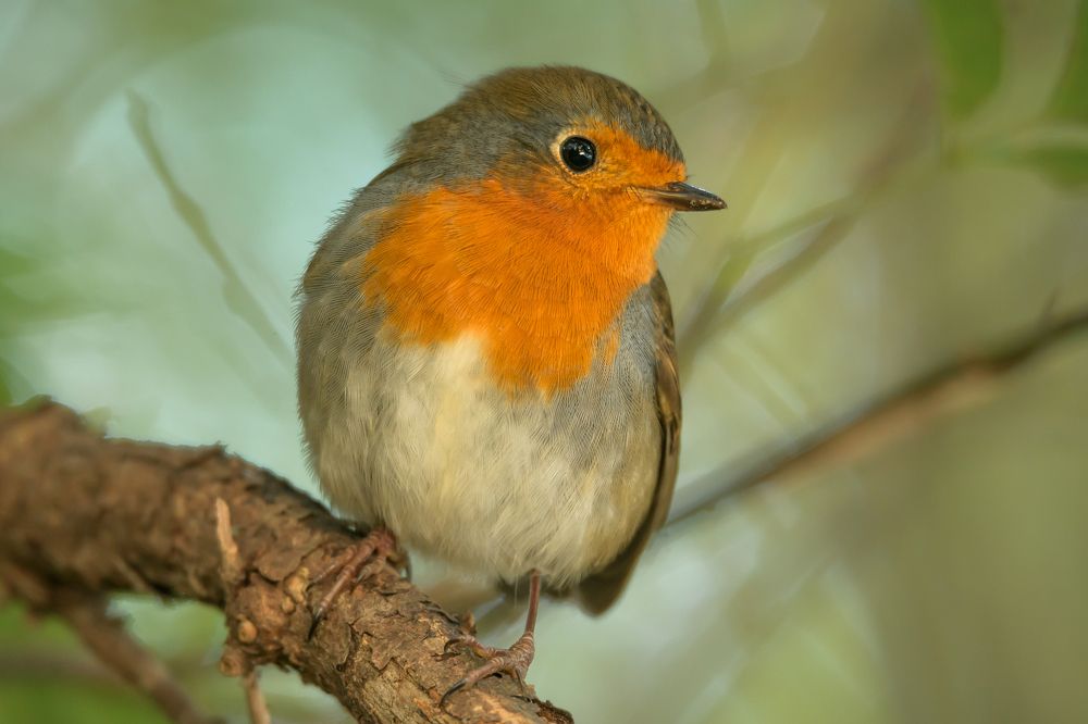 Photograph by Ксения Соварцева