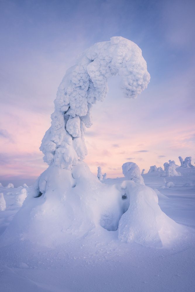 Фотография автора Oleg Rest