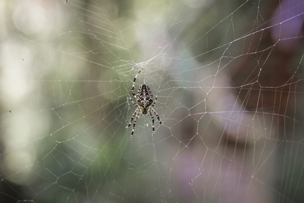 Photograph by Андрей Голуб