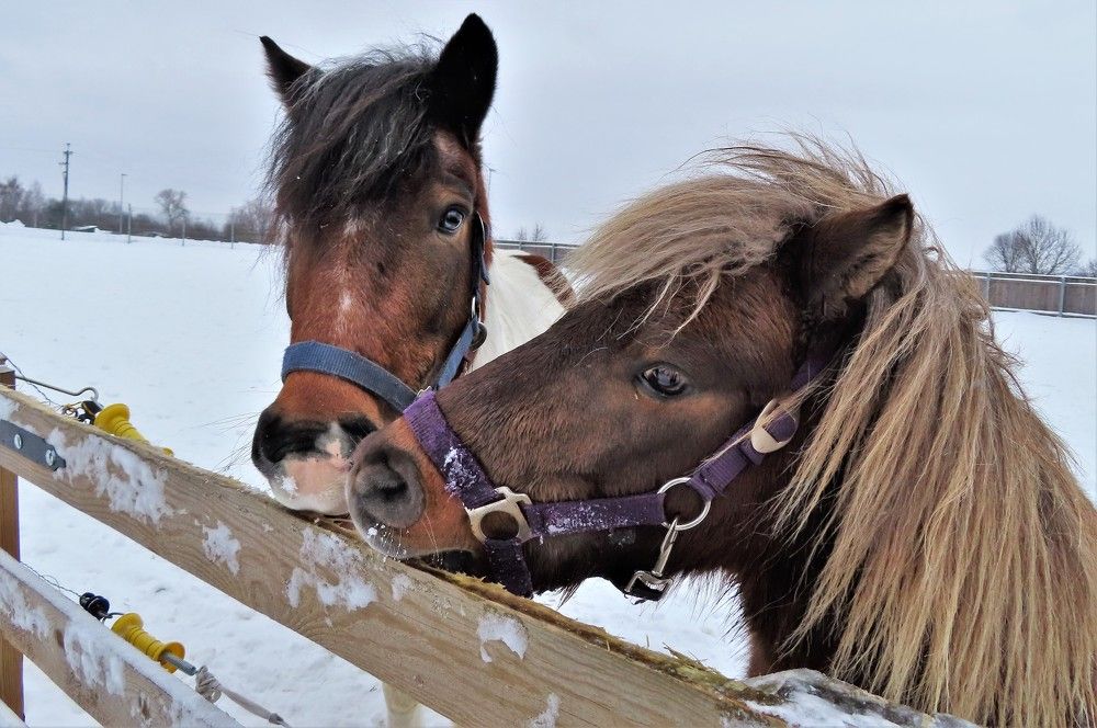 Фотография автора Tiia Vissak