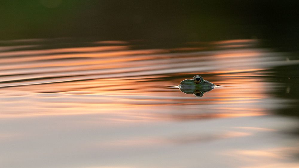 Photograph by Сергей Фадин