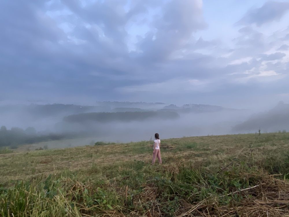 Foggy
