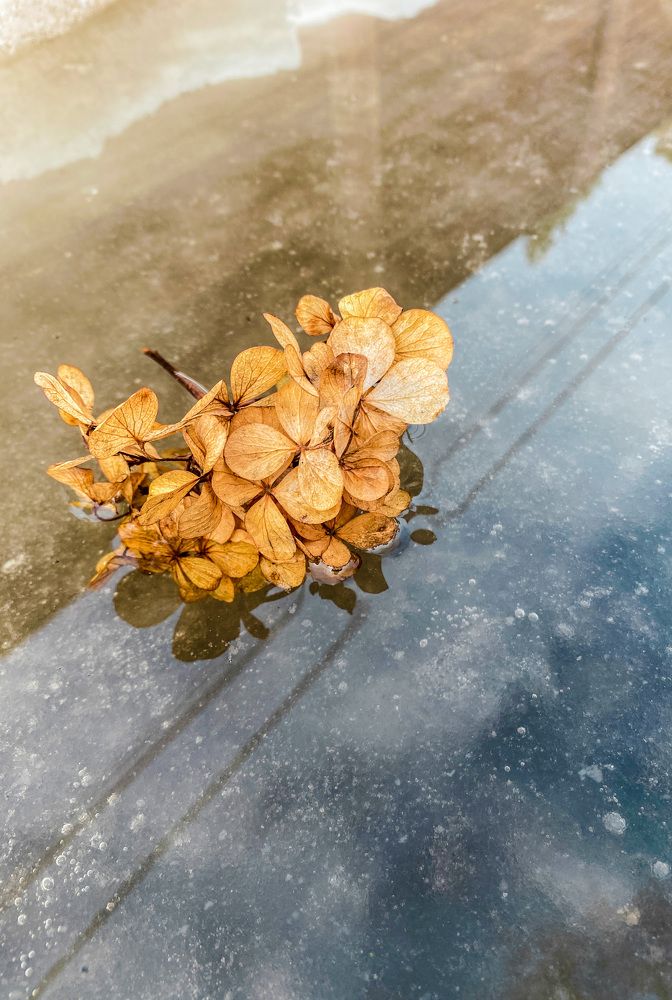 Photograph by Виктория Лаур