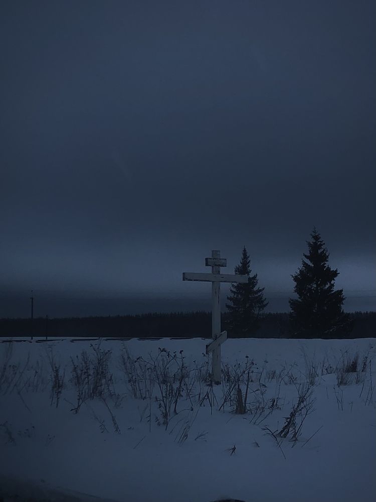 Photograph by Дарья