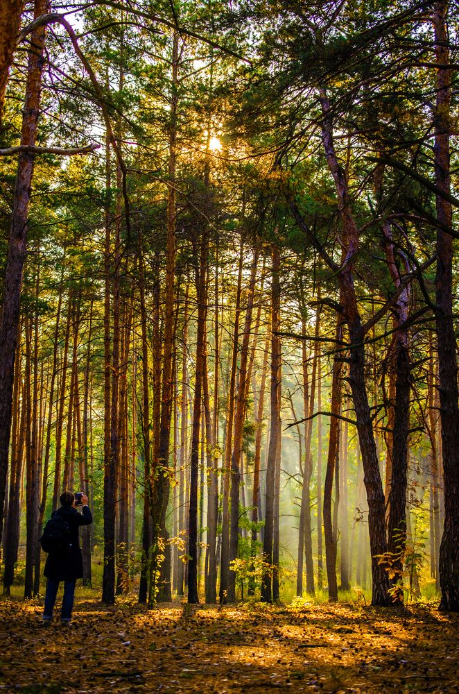 Photograph by Евгений Каримов