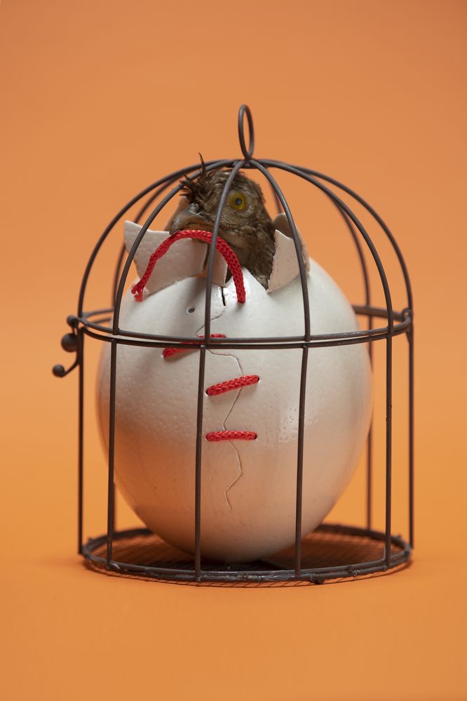 Photograph by MIHAI VICTOR-EUGEN