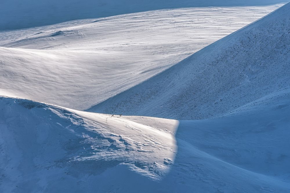 Photograph by Евгений Антонов