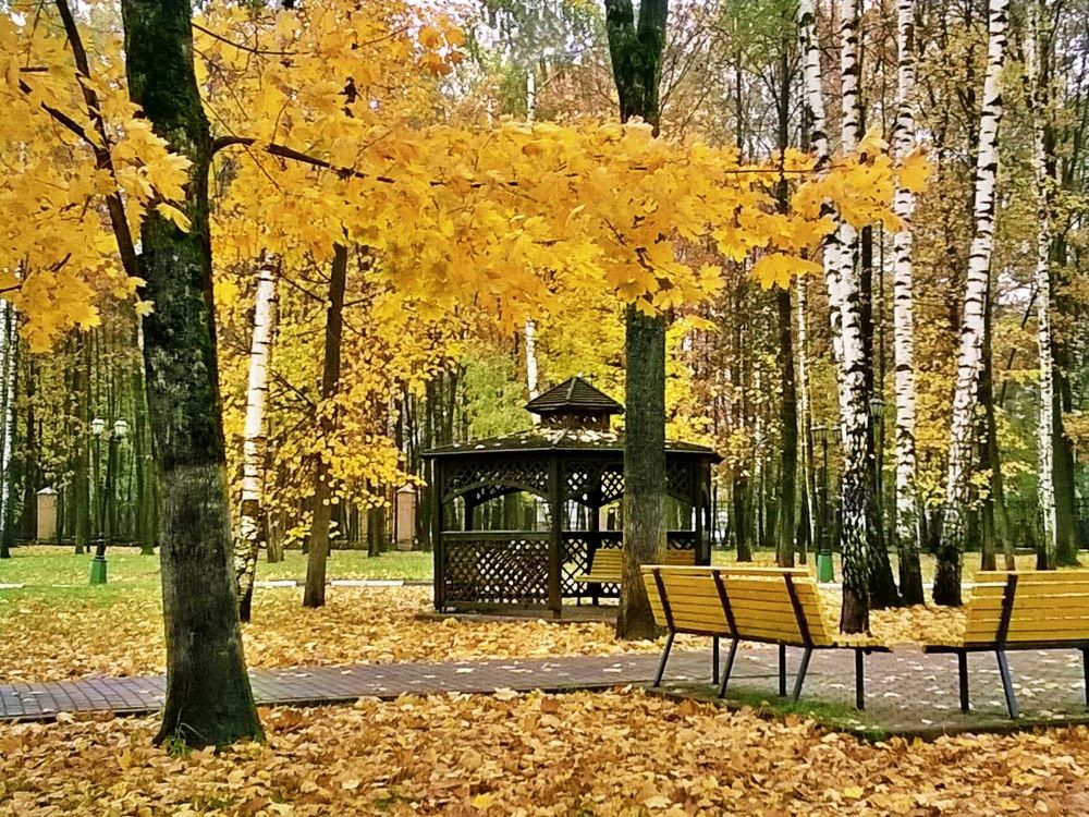 Осенняя беседка