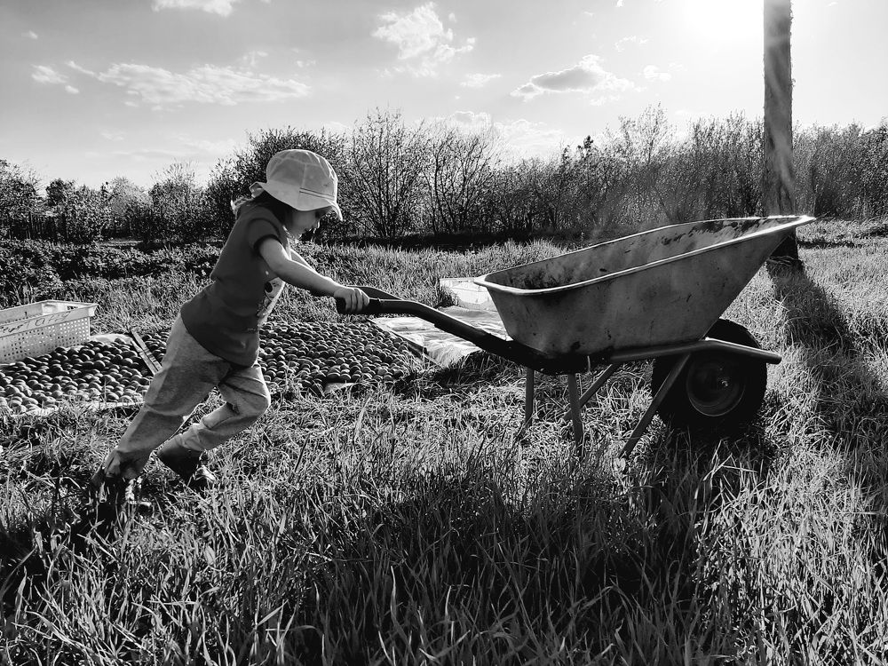 Photograph by Андрей Безгин