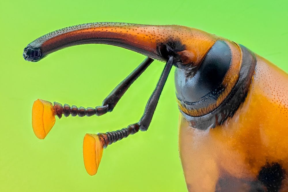 Photograph by Abolfazl Arab