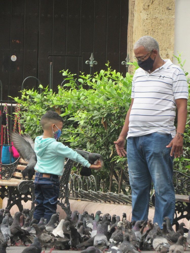 La libertad para amar.