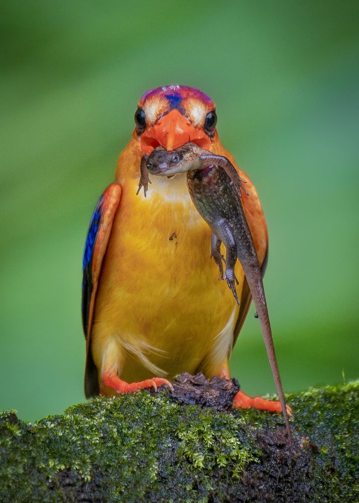 Attitude matters ! ✌?