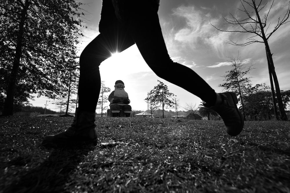 Фотография автора João (joãozero)