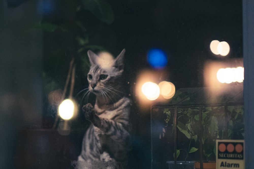 Photograph by Tonje Sivertsen