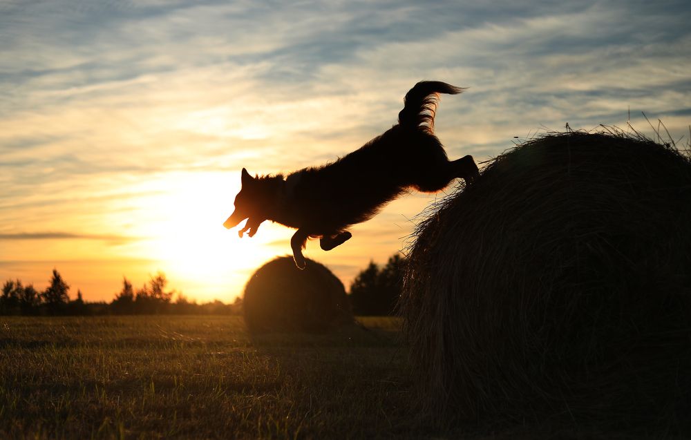 Photograph by Жаренко Евгения