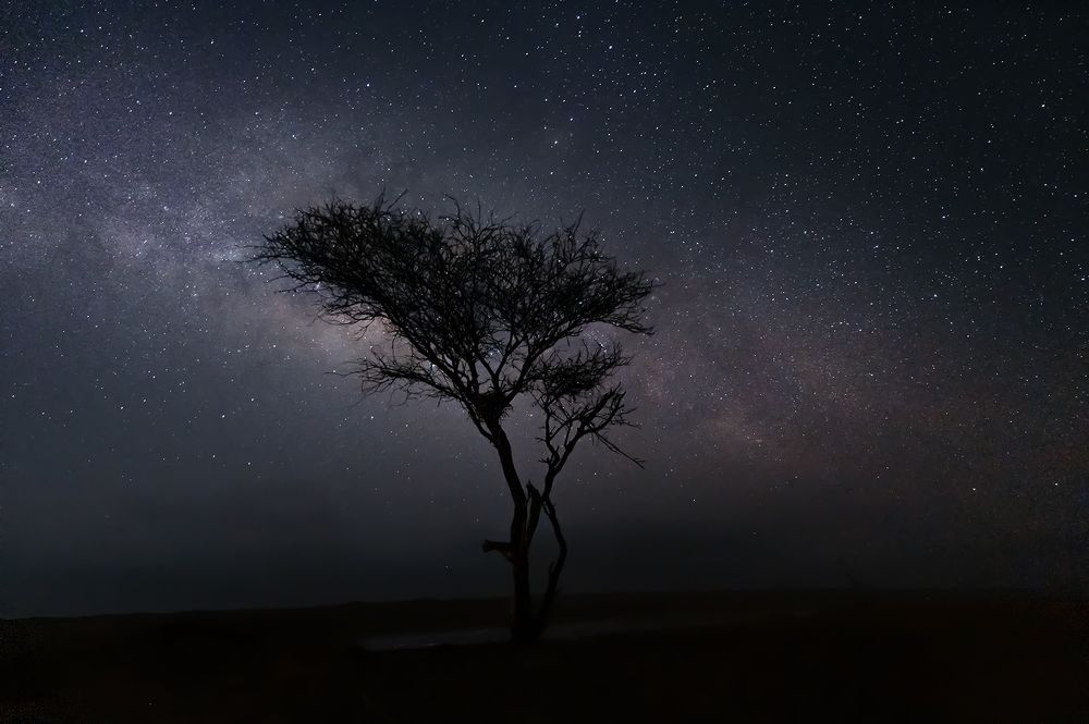 Photograph by Hassan Albusaidi