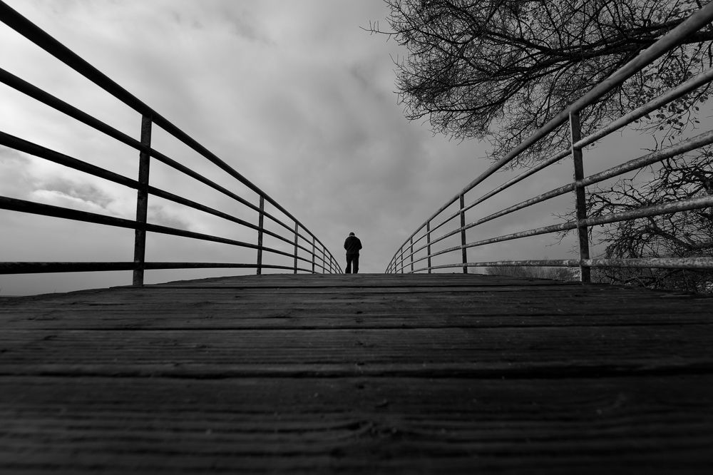 Фотография автора João (joãozero)