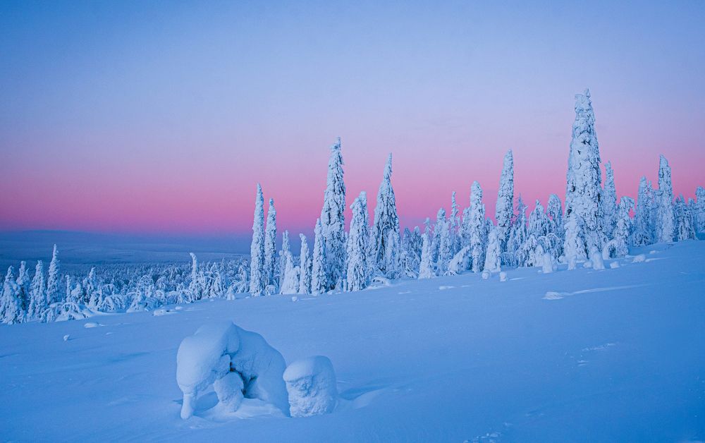 Photograph by Andrey Chuntomov