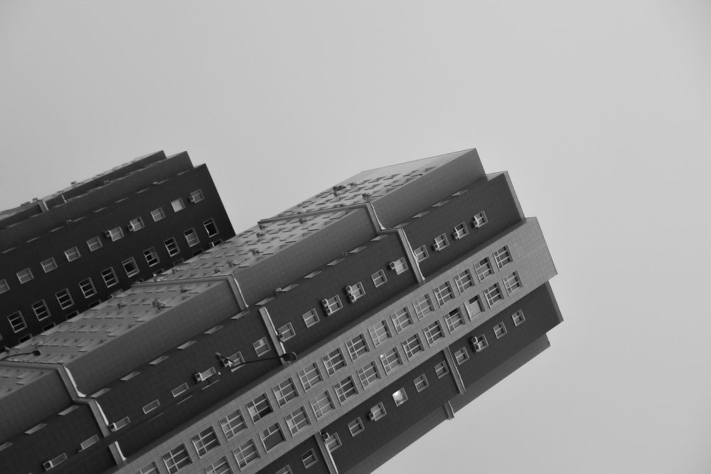 Photograph by Elvira