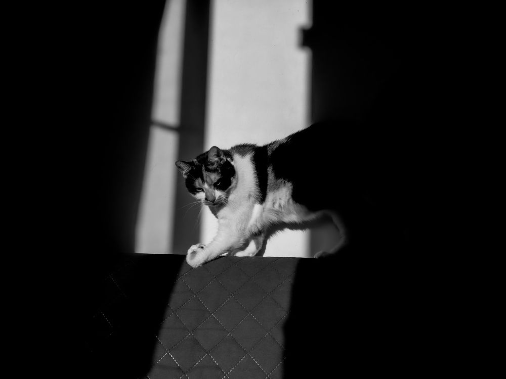 Photograph by Weinstein Isabela