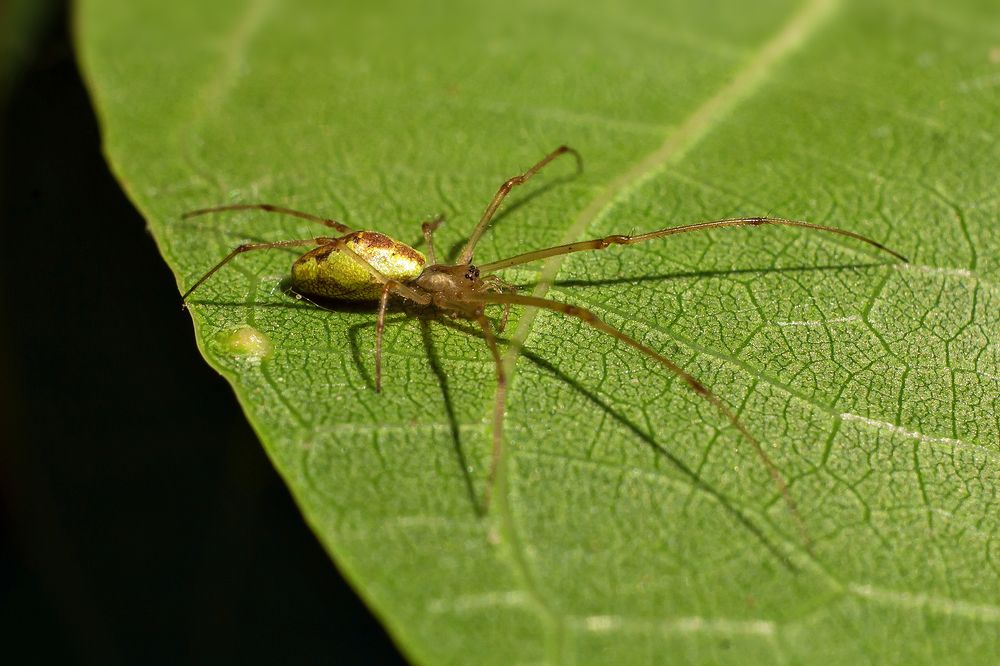 Photograph by Станислава Войцеховская