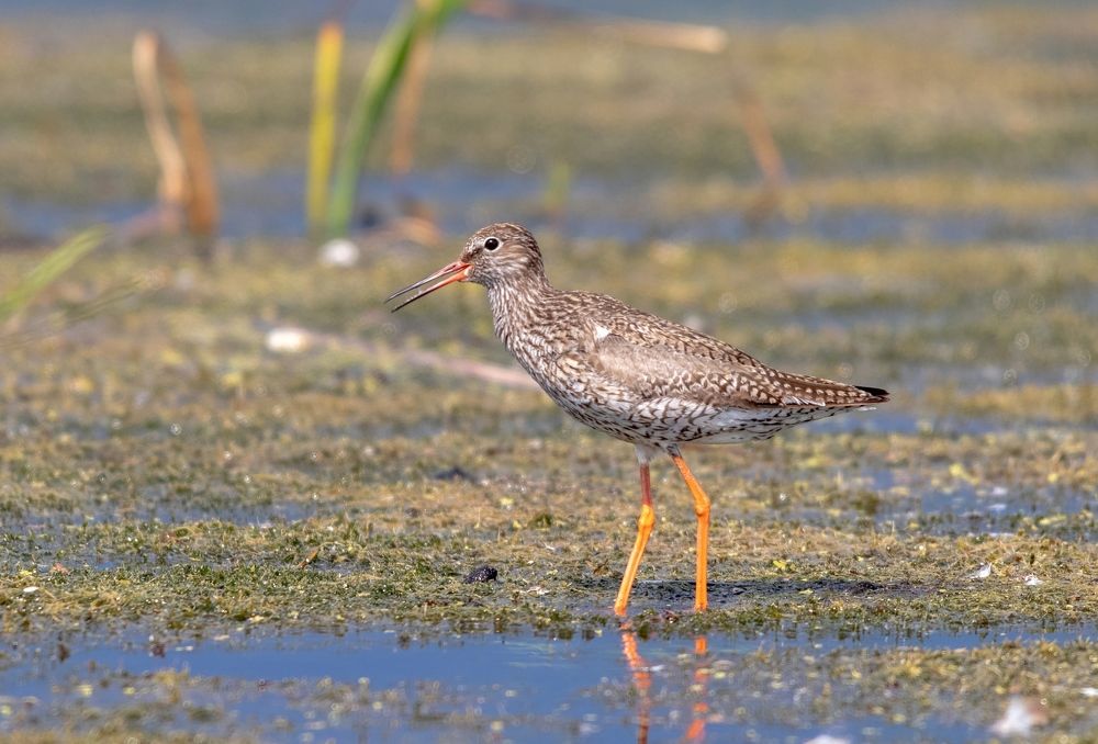 Photograph by Павел Краснослободцев