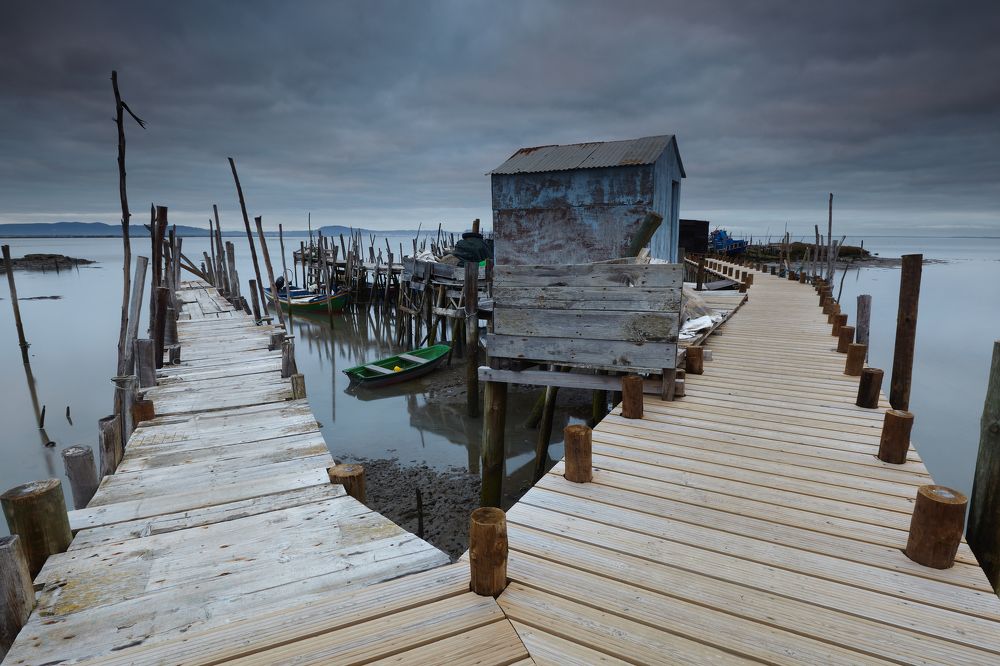 Photograph by João Freire