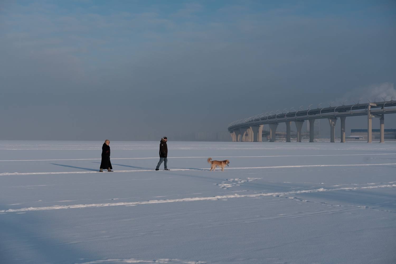 Photo #7222202