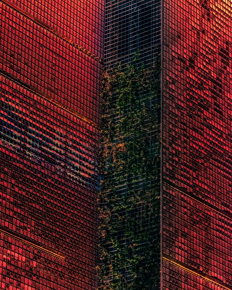Dragon skin wall
