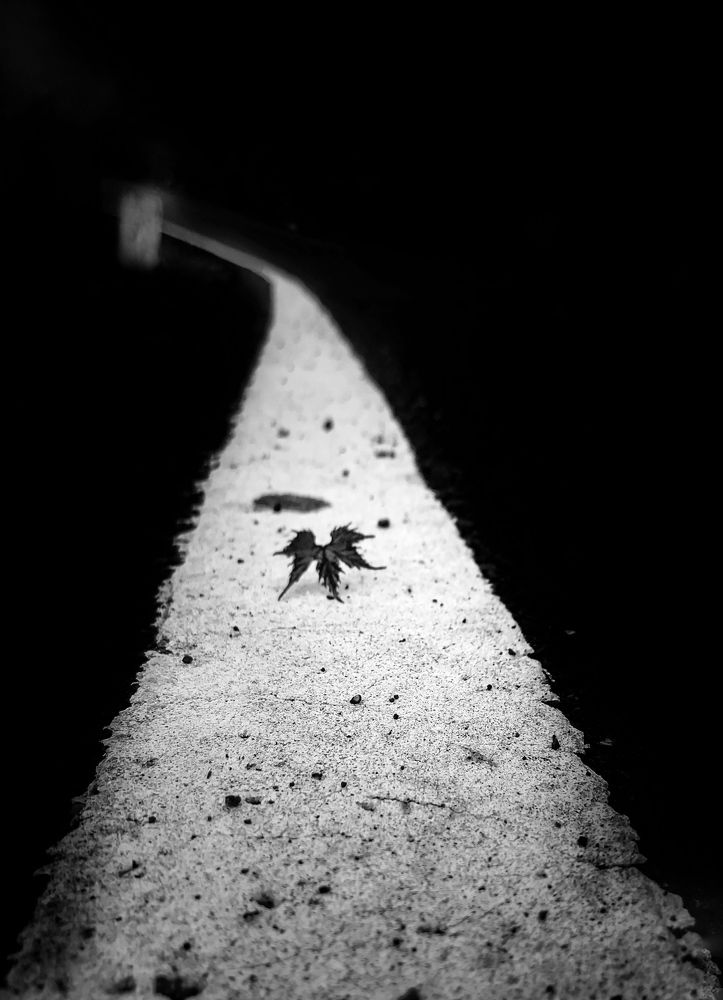 Photograph by Durgesh Mahajan