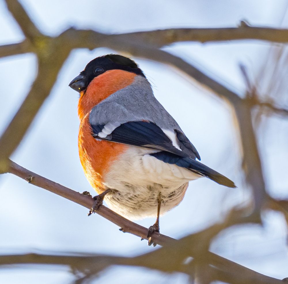Photograph by Курлянцев Алексей