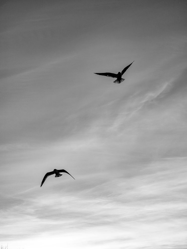 Фотография автора Slawa Rodionow