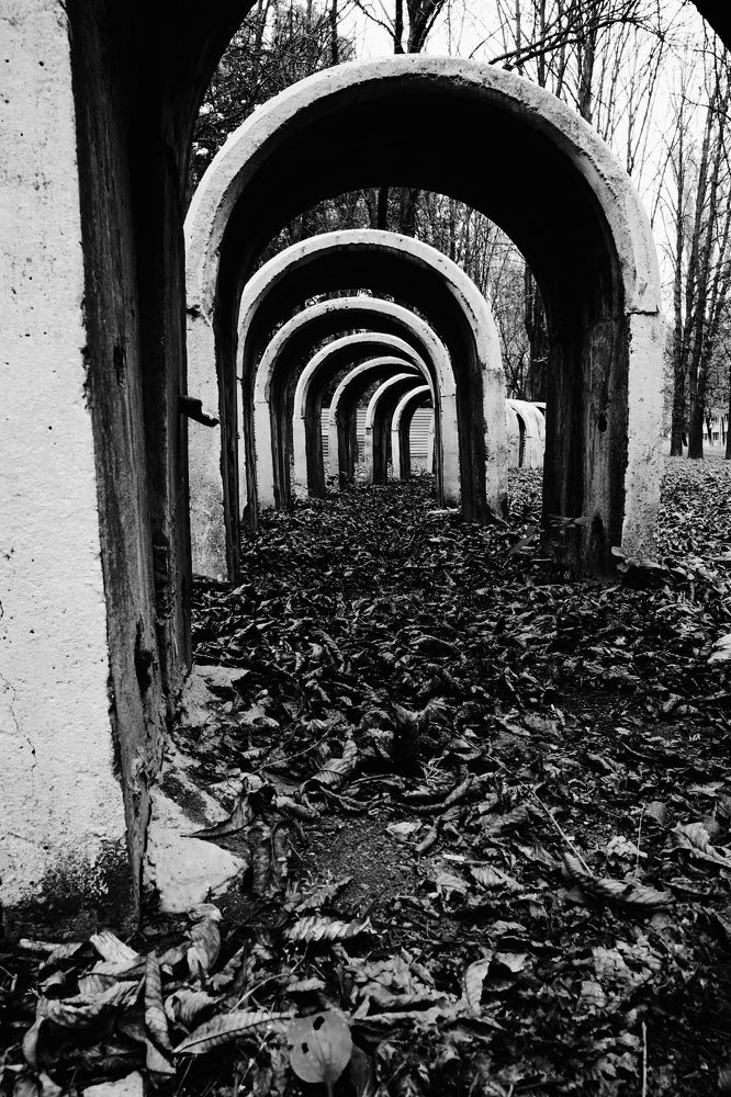 Photograph by Юлия